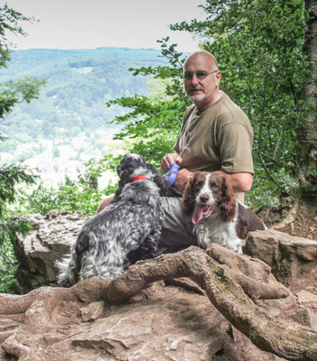 Tintern Abbey, Wye Valley