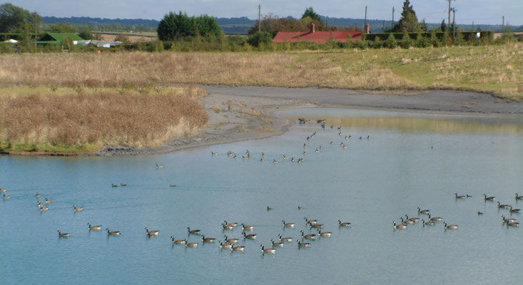 Around the ponds behind the airfield and foot & mouth burial site