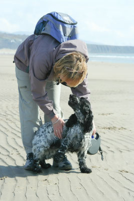 Snowdon / North Wales holiday 