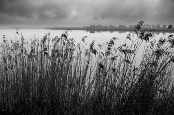 February, Skeyton stay, Norfolk