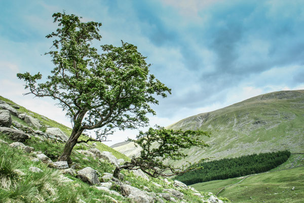 June, Lakes Holiday based near Appleby