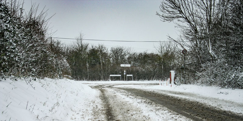Heavy snow in Throckmorton