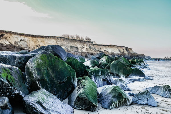 February, Skeyton stay, Norfolk