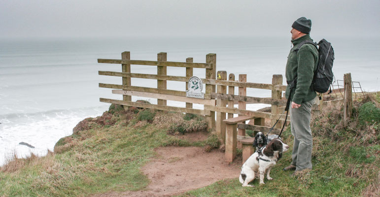 Christmas at Ensis Farm Cottages, North Devon