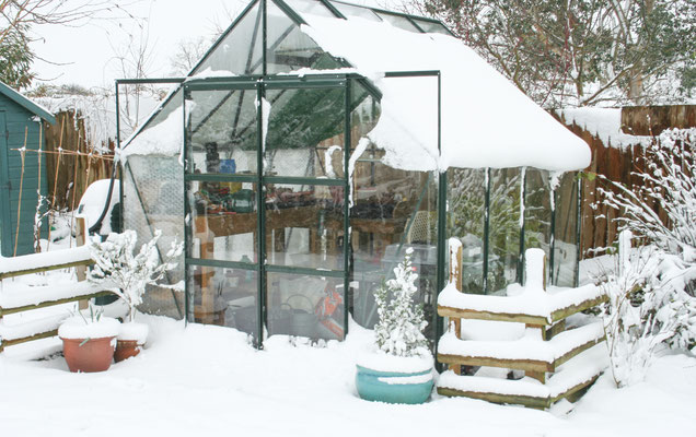 Heavy snow in Throckmorton