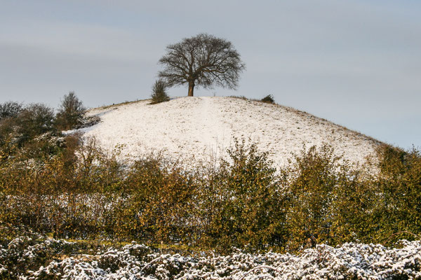 Worcester Tump in the snow