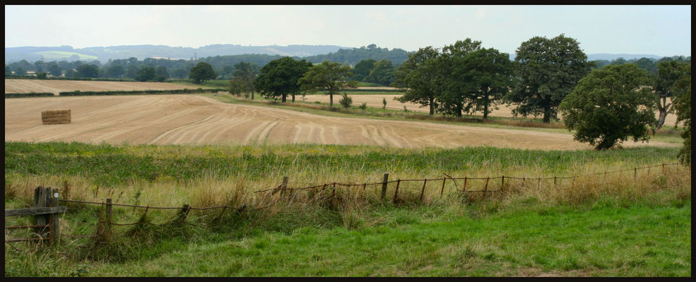 Old Hills, Callow End