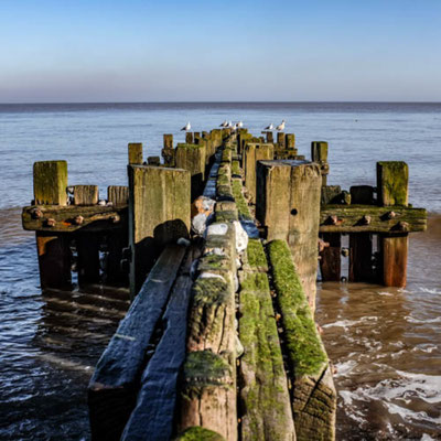 February, Skeyton stay, Norfolk
