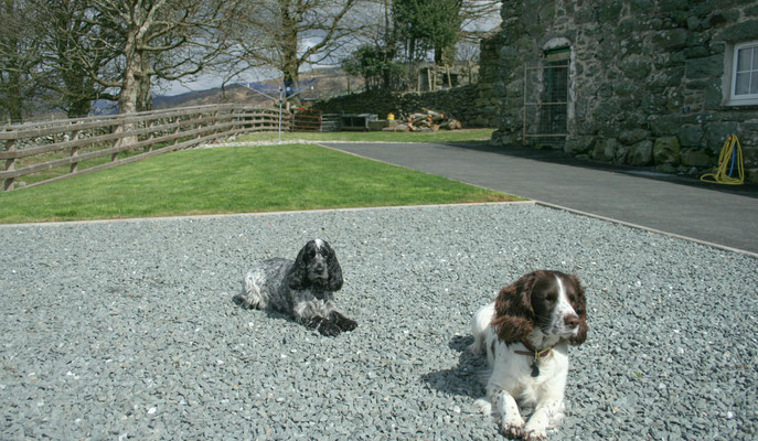 Snowdon / North Wales holiday 