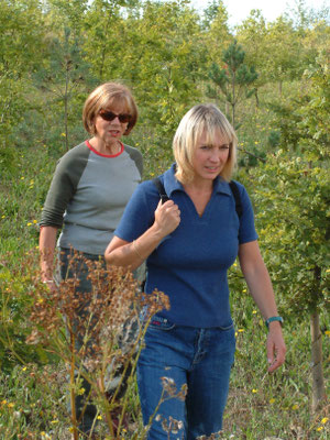 Around the ponds behind the airfield and foot & mouth burial site