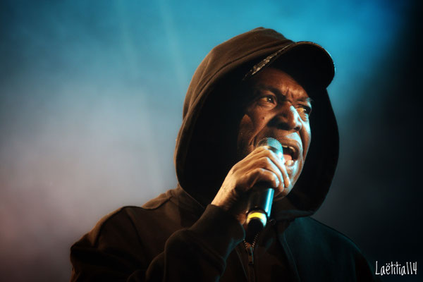 Barrington Levi