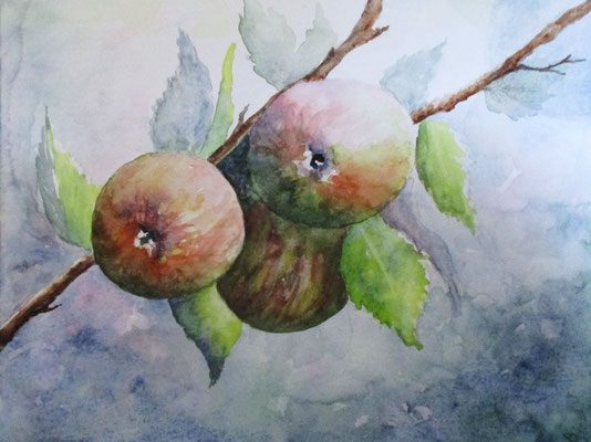 Les trois pommes, aquarelle, (27x33 encadrée)