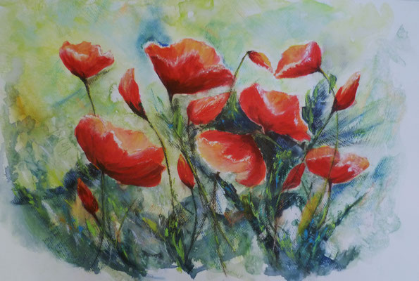 La danse des coquelicots, encre, aquarelle et pastel sec, sur papier 2018