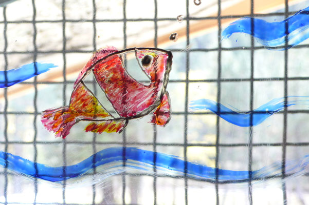 Zoom sur le poisson-clown