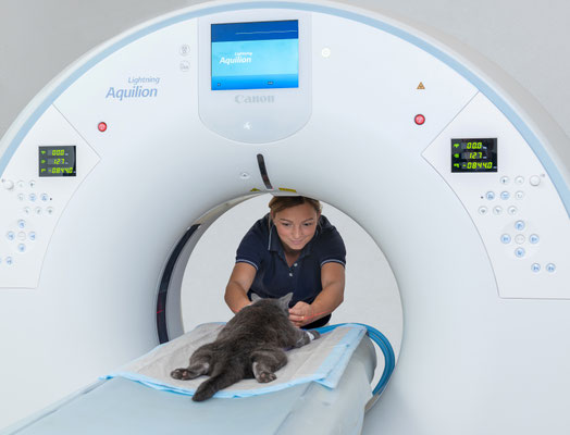 CT Computertomoraphie für Tiere