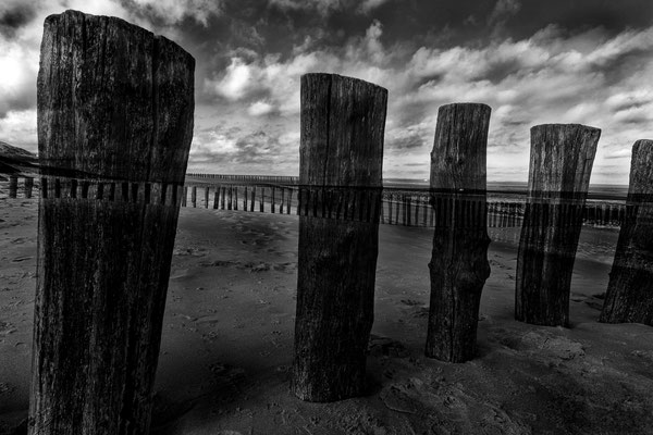 Am Strand von Calais FR V