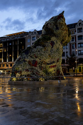 Bilbao by Night V