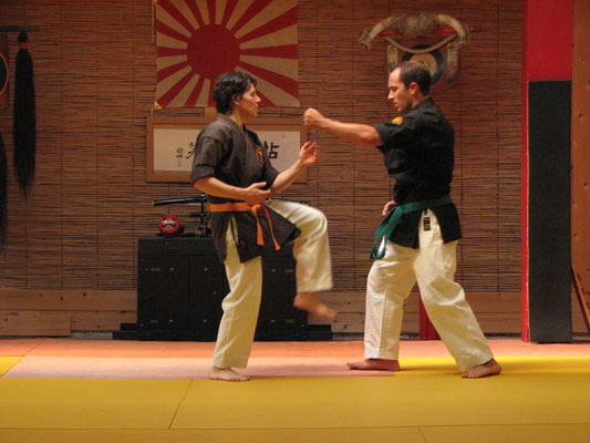Karaté, Self Défense, Kobudo, Ju Jitsu © Frédéric Dupertout – Les Ecoles Bushido