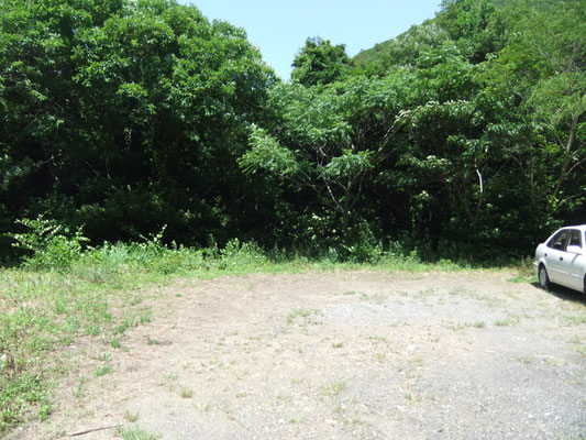 森の入口の駐車場です。