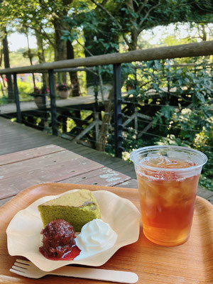 さしま茶バターケーキとさしま和紅茶