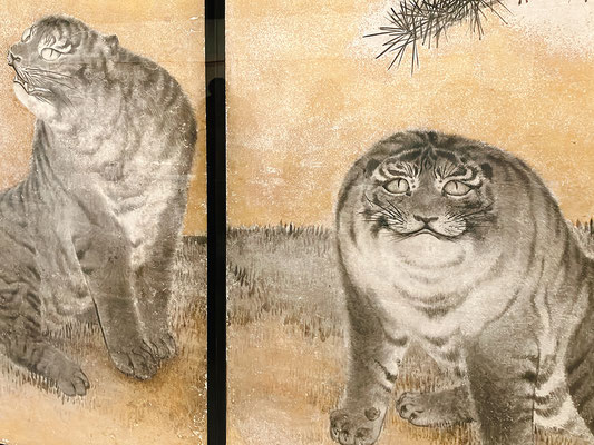 撮影可のモフモフ虎