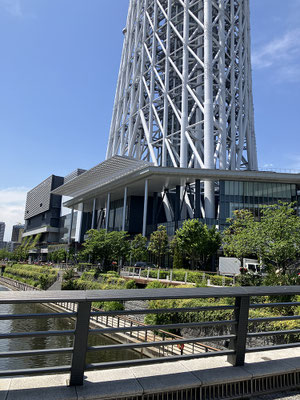 スカイツリー、眩しくて根元だけ撮る