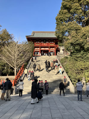 帰りに逆ルートで鶴岡八幡宮
