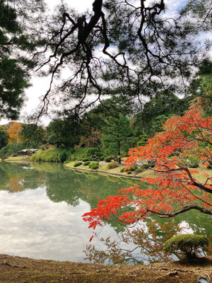ここもかろうじて紅葉