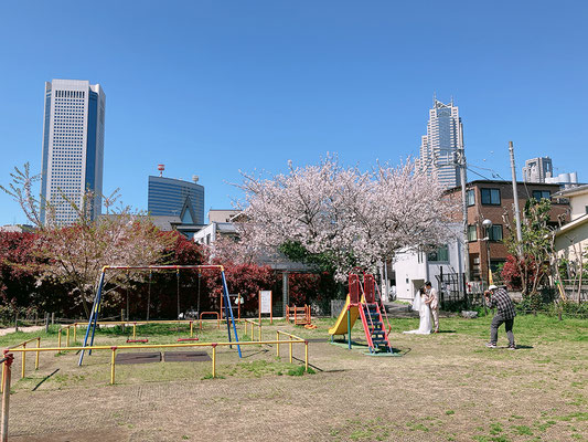 近くの公園でブライダルフォトやってた