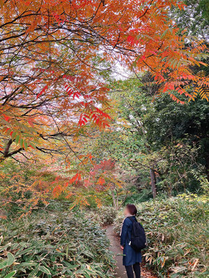 わずかな紅葉ポイントで撮影