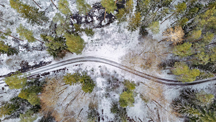 Luftbild zeigt einen schlängeligen Weg im verschneitem Wald 