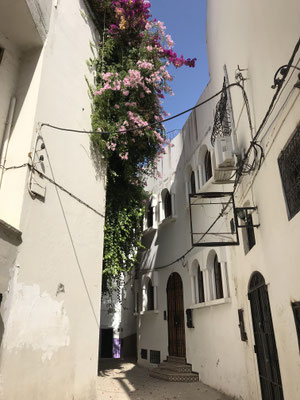 Gasse in der Medina I