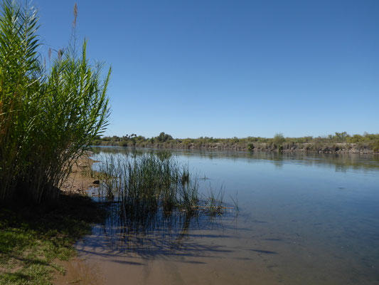 Zwei Tage nichts machen am Colorado River