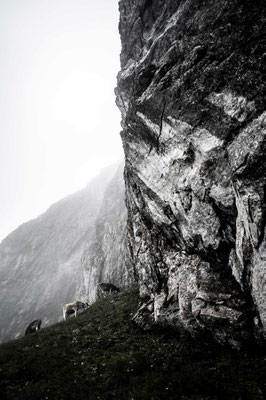 Untere Wände Gottesacker, Alpe Osterberg