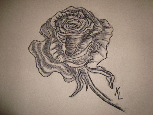 Bleistift/Kohle Malerei "Rose"