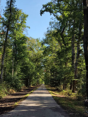 Wunderschöner Radweg