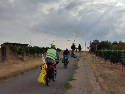 Irgendwo zwischen Niederolm und Mainz