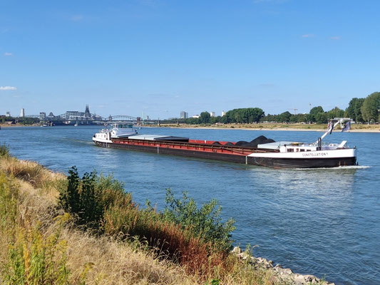 Steinkohle auf dem halb ausgetrocknet Rhein