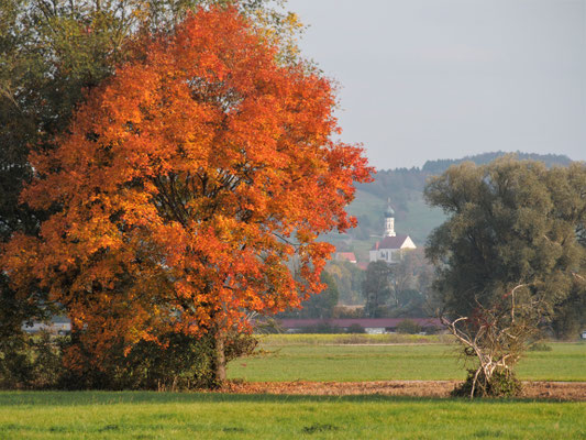 Vr Bank Amberg Online