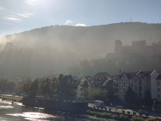 Nebel über dem Neckar 