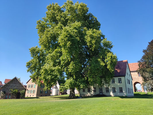 Kloster Lorsch