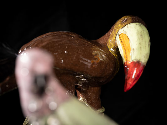 " Toucan à la plume ''
