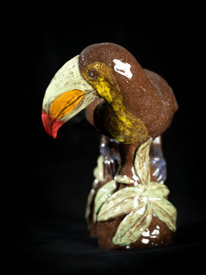 " Toucan à la plume '' 