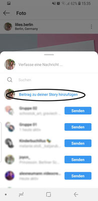 in Story teilen
