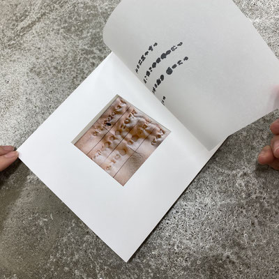 パレオグラフィの木屑 box｜2021｜ hikari sekine + midori takayama "Wood dust from Paleography"｜galerieH