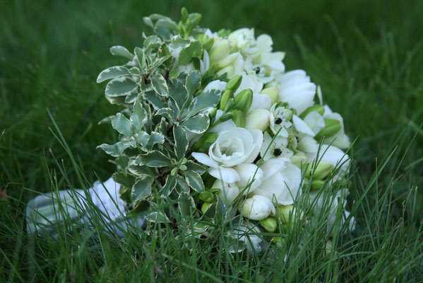 Букет невесты (тюльпаны, фрезии, орнитогалумы, автор: флорист Лена, 29149452