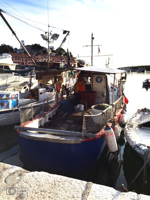 Fischerboot in Vrsar