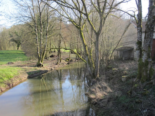 Le ruisseau de Bairon.