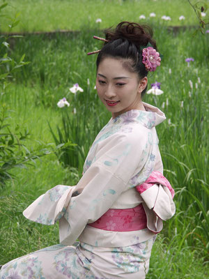 05 06 12 水元公園花菖蒲ゆかた撮影会 Photo Nishi ページ 05 06 12 水元公園花菖蒲ゆかた撮影会 Photo Nishi ページ