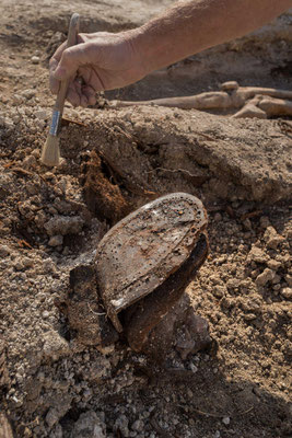 (DR) Première Guerre Mondiale-WW1-archéologie-la gestion des morts-val de Somme-Corbie-Villers Bretonneux- Amiens-Chambres d'hôtes-B&B-Guesthouse